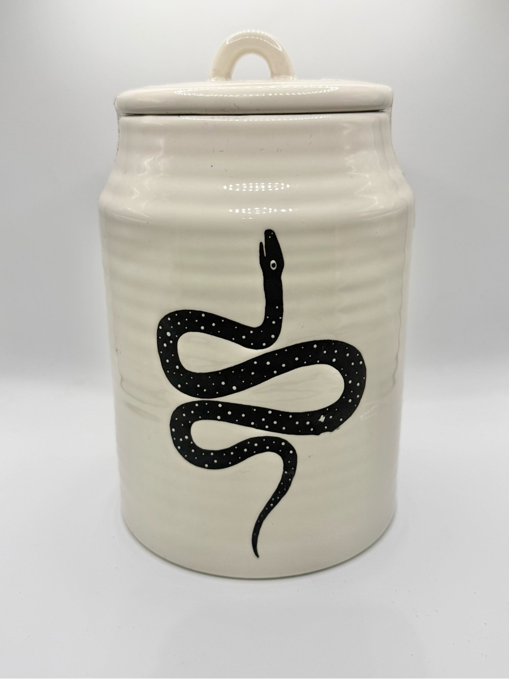Celebrate Together™ Halloween Snake Canister cookie jar new
